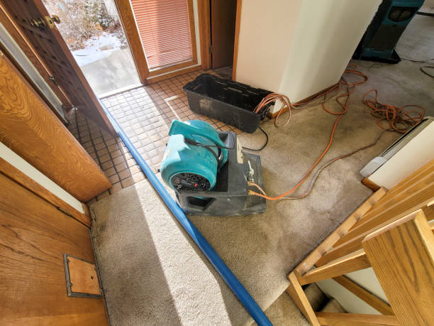 Best Water damage restoration mold remediation  in Ellsworth, KS