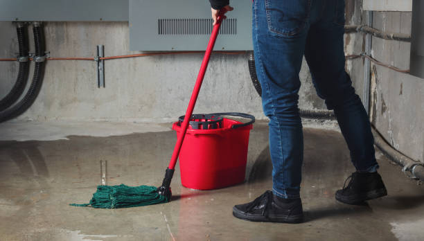 Best Mold removal after water damage  in Ellsworth, KS