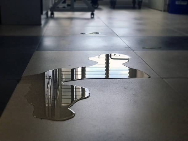 Best Professional water damage repair  in Ellsworth, KS