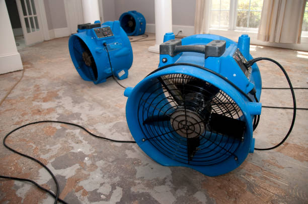Best Commercial water damage restoration  in Ellsworth, KS