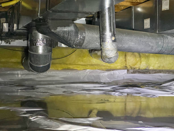 Best Carpet water damage restoration  in Ellsworth, KS