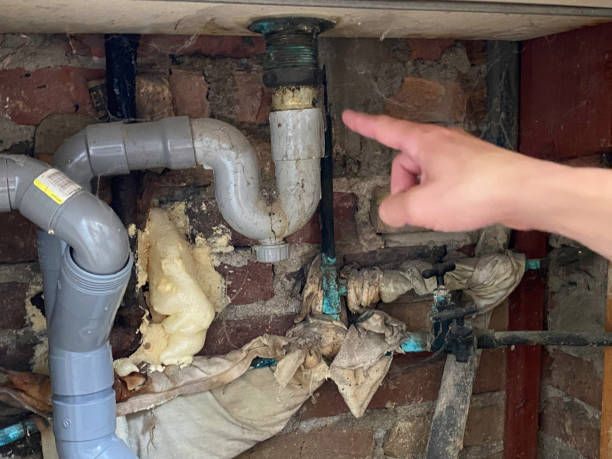 Best Basement water damage restoration  in Ellsworth, KS
